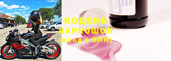 прущие грибы Балабаново