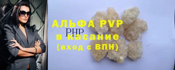 прущие грибы Балабаново