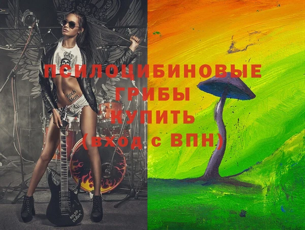 прущие грибы Балабаново