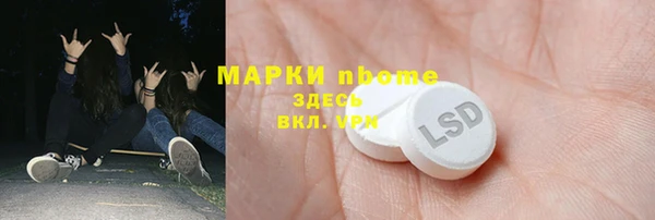 прущие грибы Балабаново