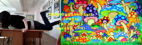 прущая мука Баксан