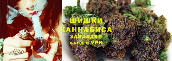 прущие грибы Балабаново
