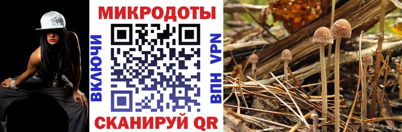 наркошоп  Верхнеуральск  OMG ТОР  Псилоцибиновые грибы Psilocybine cubensis 